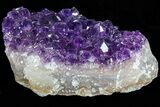 Dark Purple Amethyst Cluster - Top Quality Color #76858-1